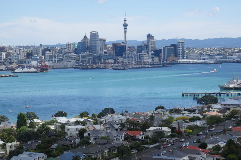 auckland half day city tour